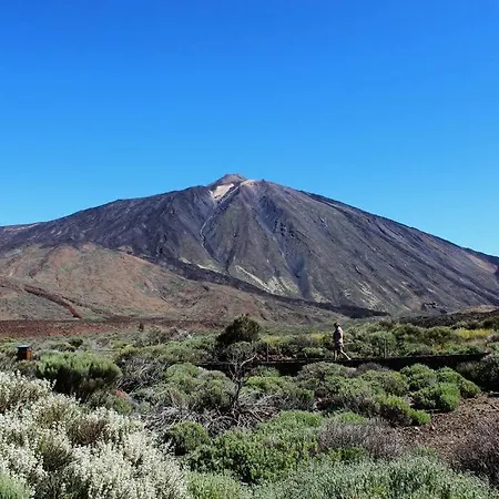 Apartment Rooftop Cristianos *